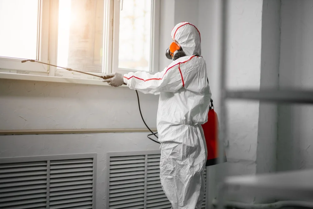 Professional mold remediation services in Old Orchard Beach, ME